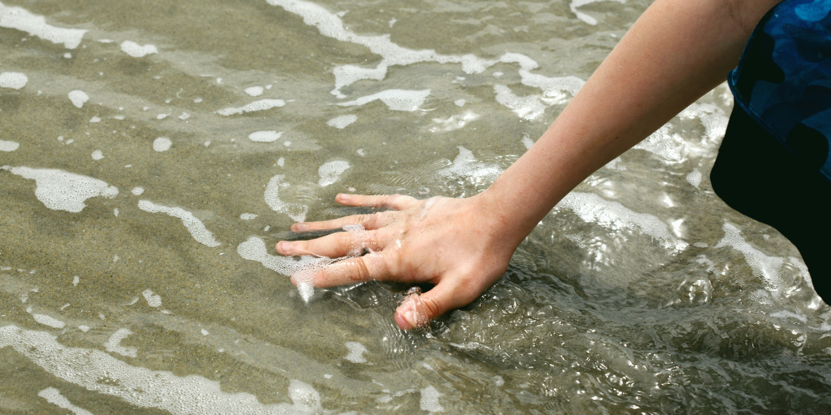 Sensory Therapy: A Journey Through Aromas and Tastes